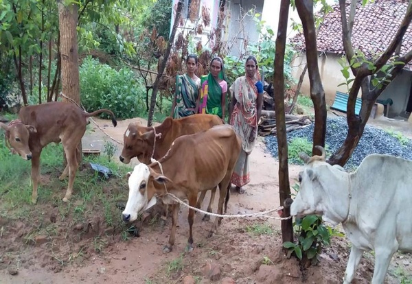 Rural Infrastructure