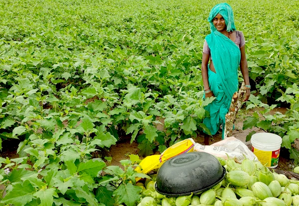 Rural Infrastructure