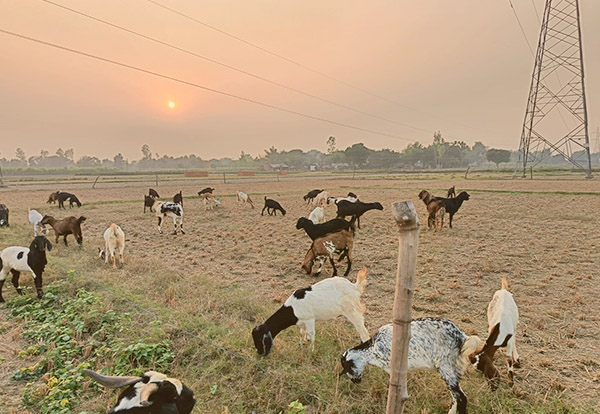 Rural Infrastructure